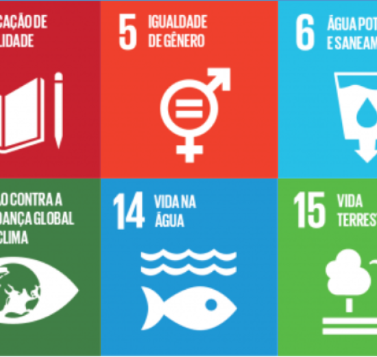 Comitê ODS Balneário Camboriú realiza primeira reunião do ano 