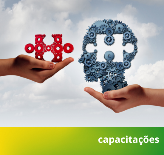 Capacitações